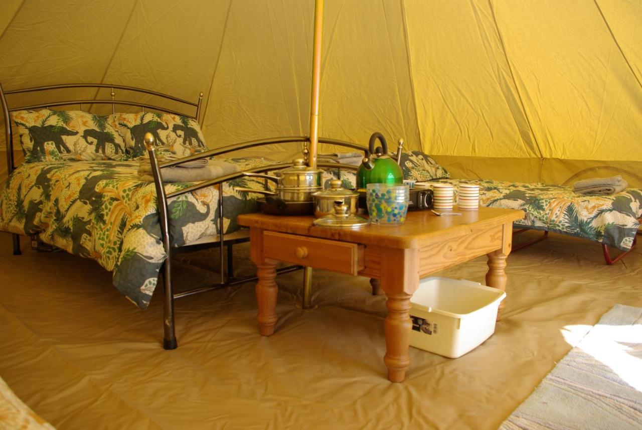 Cornish Skies Glamping Pool Kültér fotó