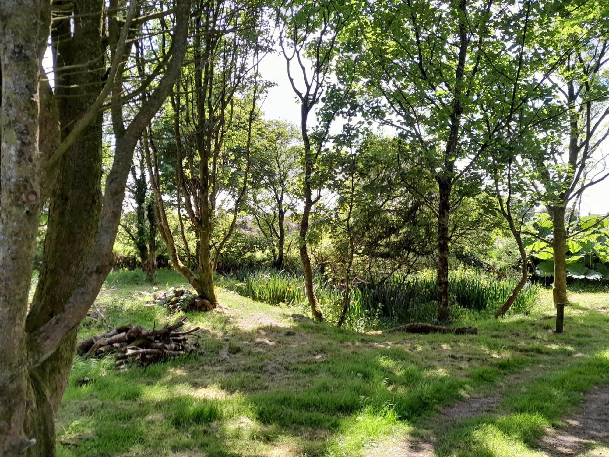 Cornish Skies Glamping Pool Kültér fotó